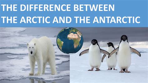 difference between antarctic and arctic.